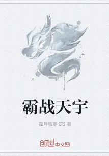 《霸战天宇》小说封面