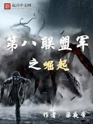 《第八联盟军之崛起》小说封面