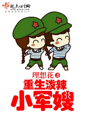 《重生泼辣小军嫂》小说封面