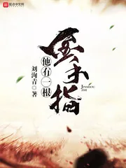 《他有一根金手指》小说封面