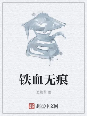 《铁血无痕》小说封面