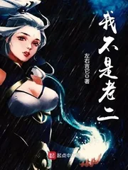 《我不是老二》小说封面
