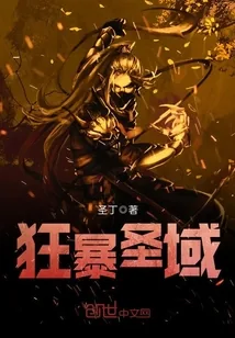 《狂暴圣域》小说封面
