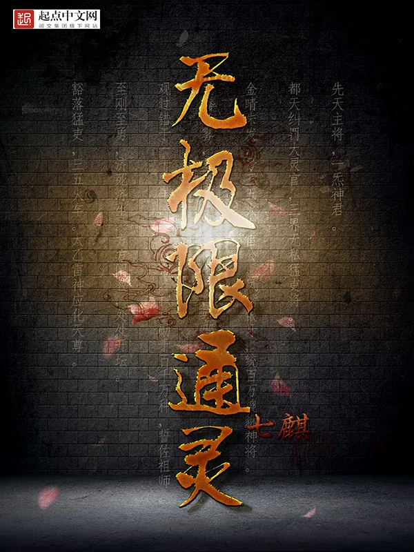 《无极限通灵》小说封面