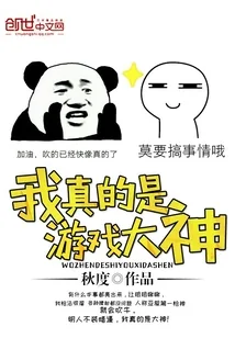 《我真的是游戏大神》小说封面