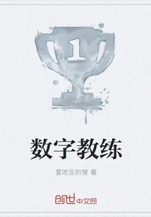 《数字教练》小说封面