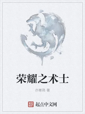 《荣耀之术士》小说封面