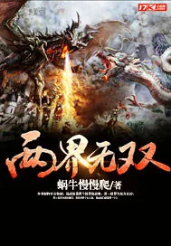 《两界无双》小说封面