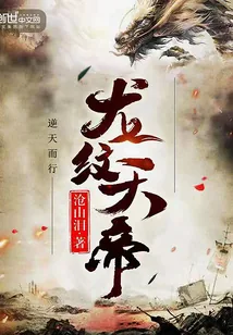 《龙纹天帝》小说封面