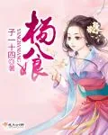 《杨八娘》小说封面