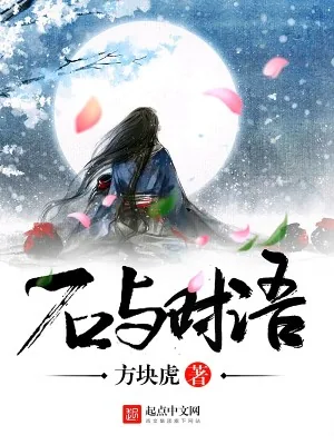 《石与时语》小说封面