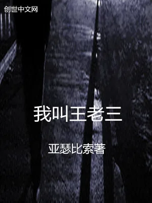 《我叫王老三》小说封面