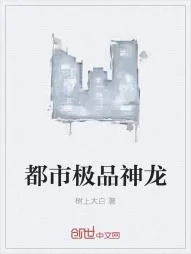 《都市极品神龙》小说封面