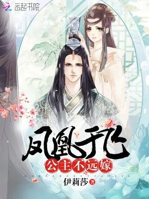 《凤凰于飞:公主不远嫁》小说封面