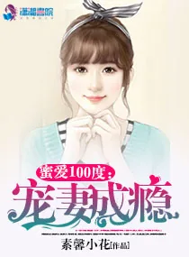 《蜜爱100度：宠妻成瘾》小说封面
