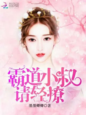 《霸道小叔,请轻撩!》小说封面