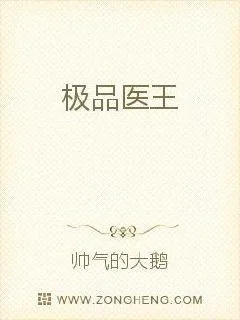 《极品医王》小说封面