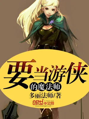 《要当游侠的魔法师》小说封面