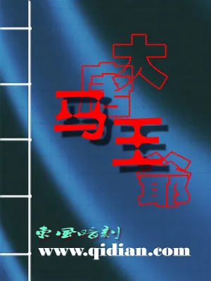 《大唐马王爷》小说封面