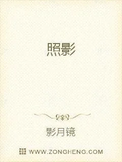 《照影》小说封面