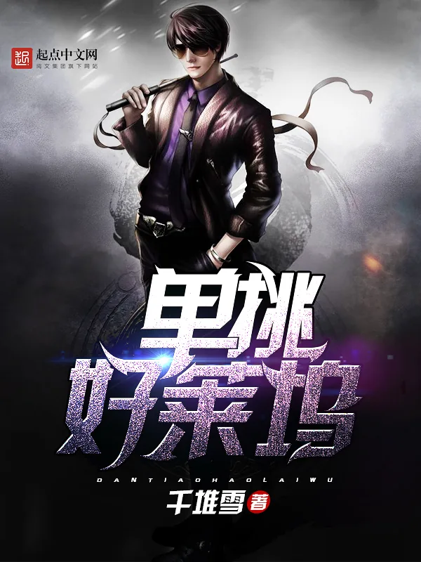 《单挑好莱坞》小说封面