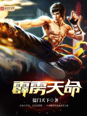 《霹雳天命》小说封面