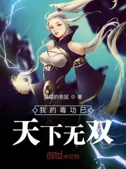 《我的毒功已天下无双》小说封面