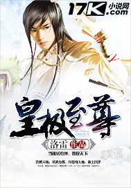 《皇极至尊》小说封面