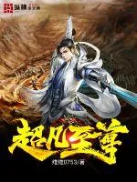 《超凡至尊》小说封面