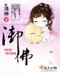 《御佛》小说封面