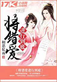 《将错爱进行到底》小说封面