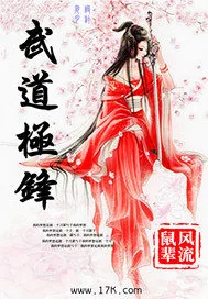《武道极锋》小说封面