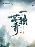 《一世独青》小说封面