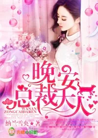 《晚安,总裁大人》小说封面