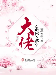 《大佬退休之后》小说封面