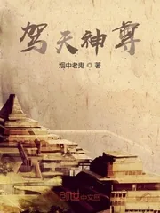 《驾天神尊》小说封面