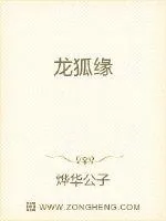 《龙狐缘》小说封面