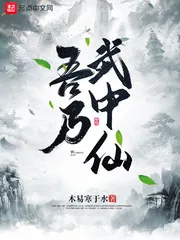 《吾乃武中仙》小说封面