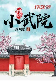 《南房小武院》小说封面