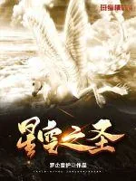 《星空之圣》小说封面