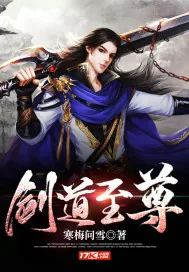 《剑道至尊》小说封面
