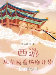 《西游从倒拔垂杨柳开始》小说封面