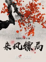 《来风镖局》小说封面