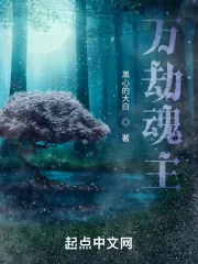 《万劫魂主》小说封面