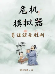 《危机模拟器:苟住就是胜利》小说封面