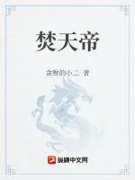 《焚天帝》小说封面
