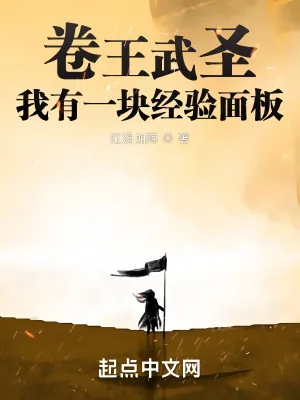 《卷王武圣：我有一块经验面板》小说封面