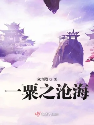 《一粟之沧海》小说封面