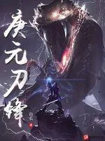《庚元刀锋》小说封面