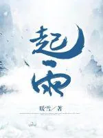 《起雨》小说封面